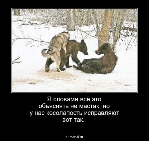 Я словами всё это объяснять не мастак, но у нас косолапость исправляют вот так.