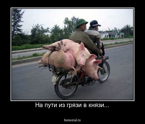 На пути из грязи в князи...