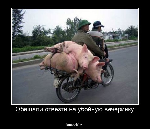 Обещали отвезти на убойную вечеринку