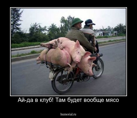 Ай-да в клуб! Там будет вообще мясо