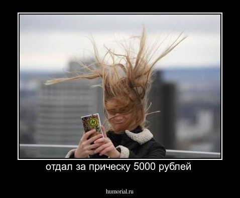 отдал за прическу 5000 рублей 