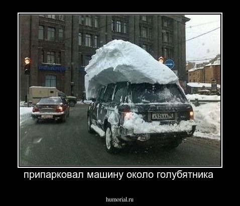 припарковал машину около голубятника 
