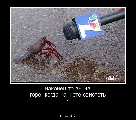 наконец то вы на горе, когда начнете свистеть ? 