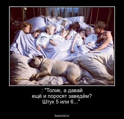  : "Толик, а давай ещё и поросят заведём? Штук 5 или 6..."