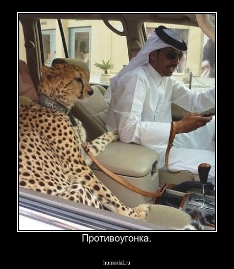 Противоугонка.