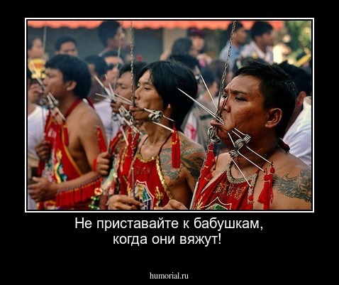 Не приставайте к бабушкам, когда они вяжут!