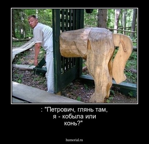 : "Петрович, глянь там, я - кобыла или конь?"