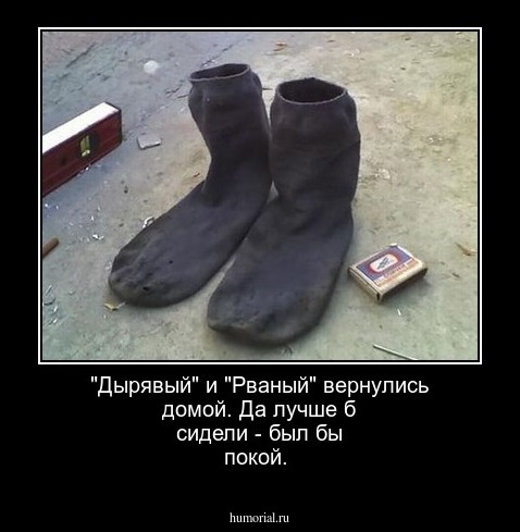 "Дырявый" и "Рваный" вернулись домой. Да лучше б сидели - был бы покой.