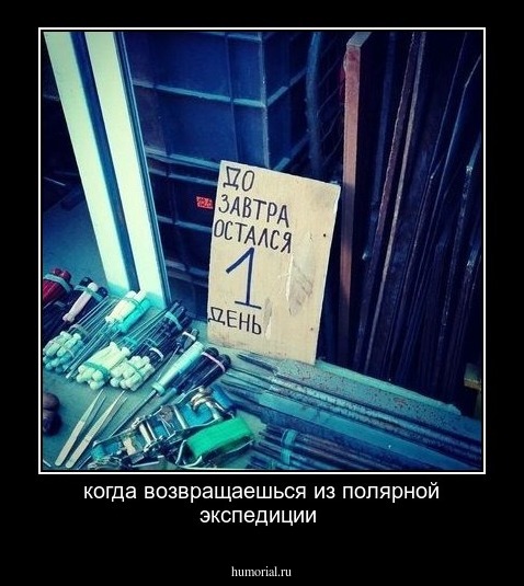когда возвращаешься из полярной экспедиции