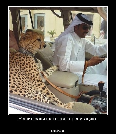 Решил запятнать свою репутацию 