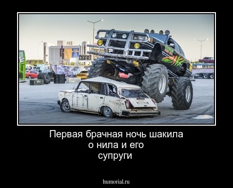 Первая брачная ночь шакила о нила и его супруги