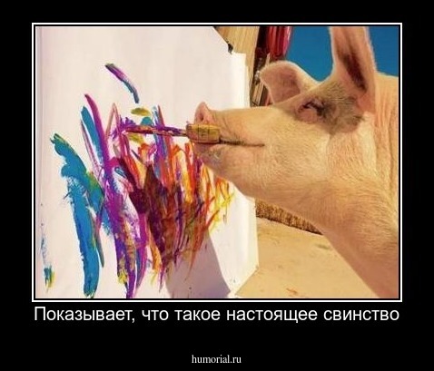 Показывает, что такое настоящее свинство