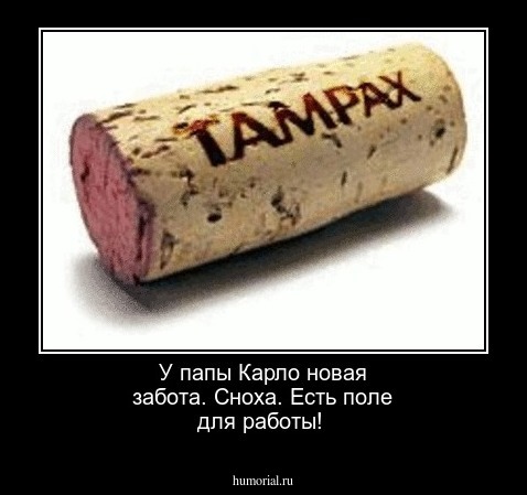  У папы Карло новая забота. Сноха. Есть поле для работы!