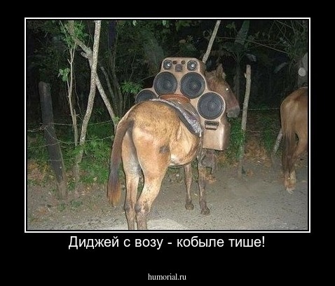  Диджей с возу - кобыле тише!