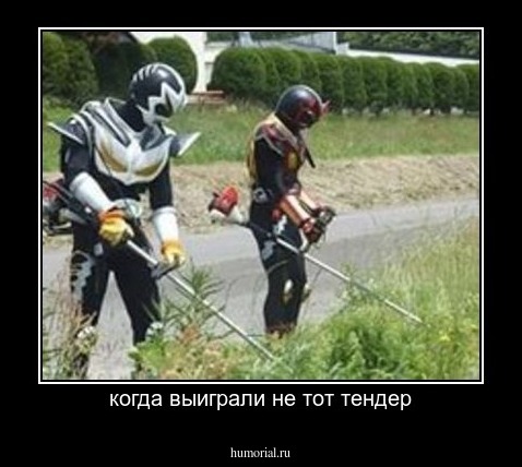 когда выиграли не тот тендер