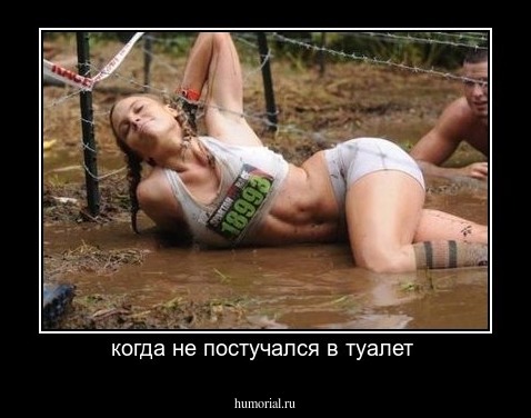 когда не постучался в туалет 