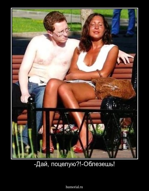 -Дай, поцелую?!-Облезешь!
