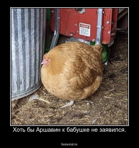 Лишь бы  Аршавин к бабушке не заявился.