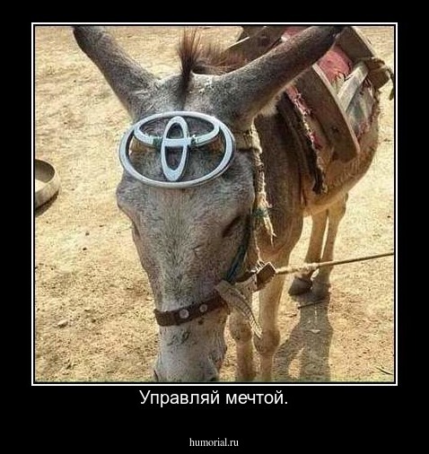 Управляй мечтой.