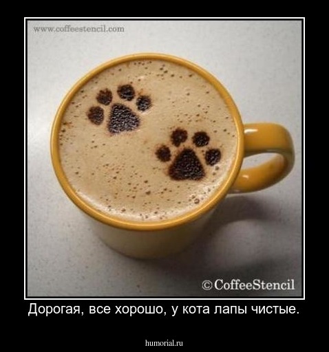 Дорогая, все хорошо, у кота лапы чистые.