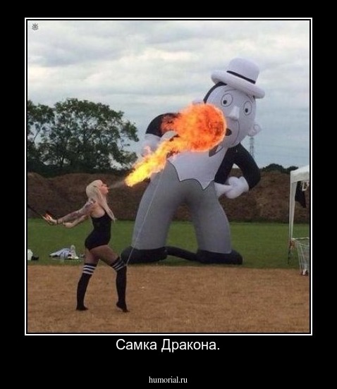 Самка Дракона.