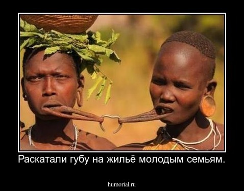 Раскатали губу на жильё молодым семьям.