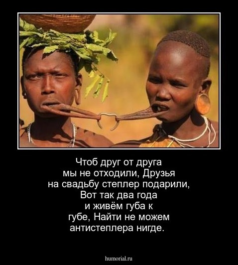 Чтоб друг от друга мы не отходили,
 Друзья на свадьбу степлер подарили,
 Вот так два года и живём губа к губе,
 Найти не можем антистеплера нигде.