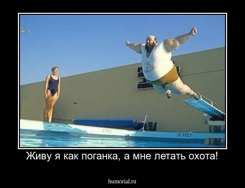 Живу я как поганка, а мне летать охота!