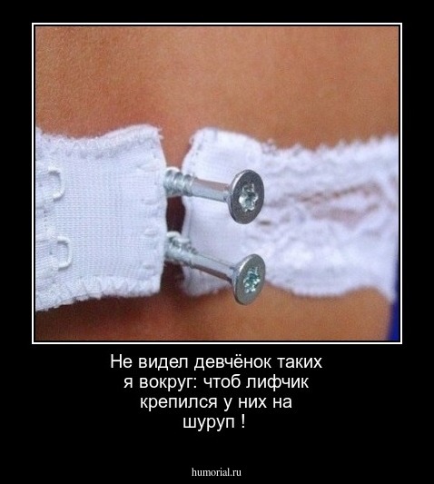 Не видел  девчёнок таких я вокруг: чтоб лифчик крепился у них на шуруп !