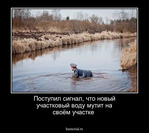 Поступил сигнал, что новый участковый воду мутит на своём участке