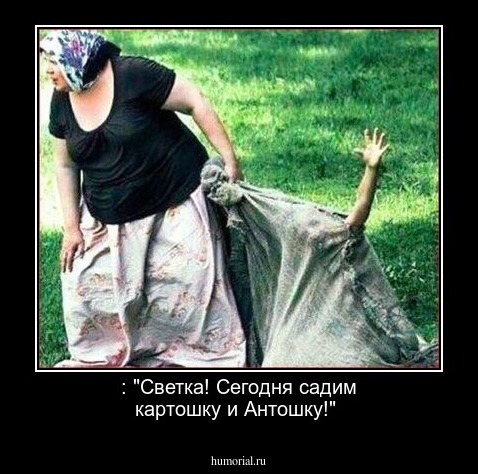 : "Светка! Сегодня садим картошку и Антошку!"