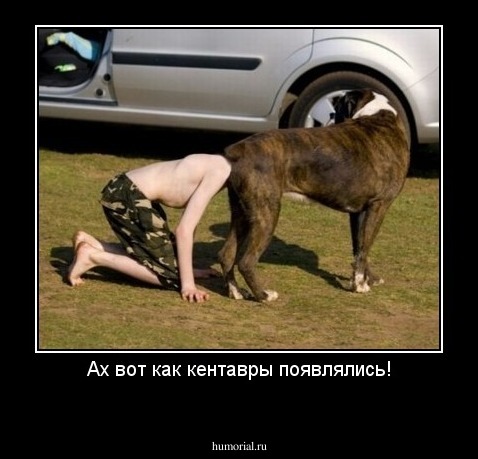 Ах вот как кентавры появлялись!
