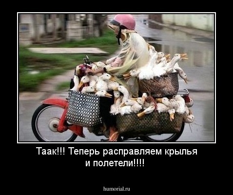  Таак!!!  Теперь расправляем крылья и полетели!!!!