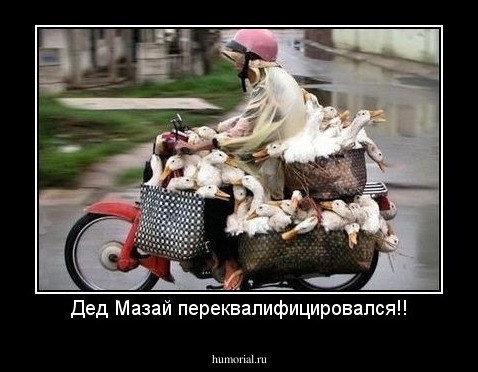 Дед Мазай переквалифицировался!!