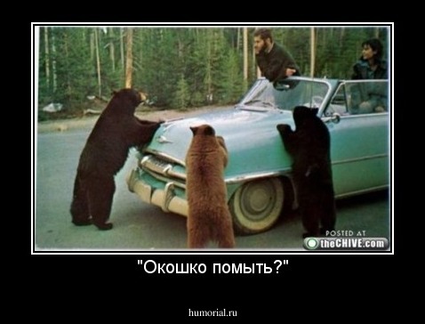 "Окошко помыть?"