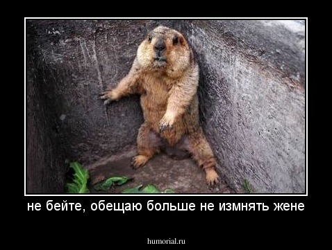 не бейте, обещаю больше не измнять жене