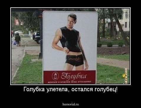 Голубка улетела, остался голубец!