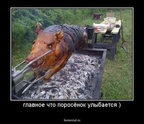 главное что поросёнок улыбается )