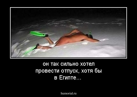он так сильно хотел провести отпуск, хотя бы в Египте...