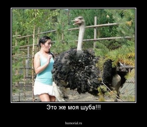 Это же моя шуба!!!