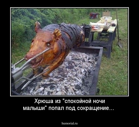 Хрюша из "спокойной ночи малыши" попал под сокращение...