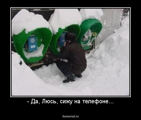 - Да, Люсь, сижу на телефоне...