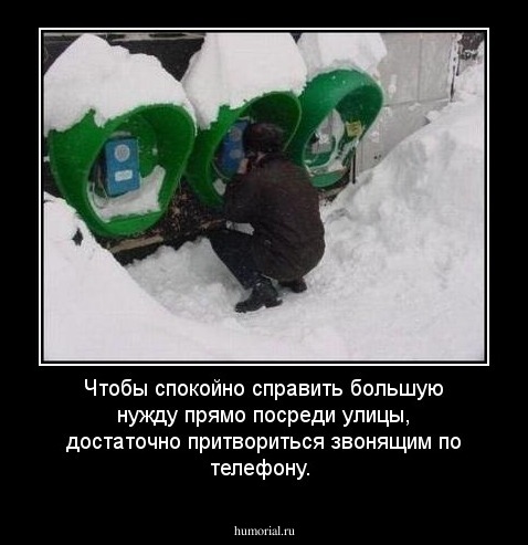 Чтобы спокойно справить большую нужду прямо посреди улицы, достаточно притвориться звонящим по телефону.