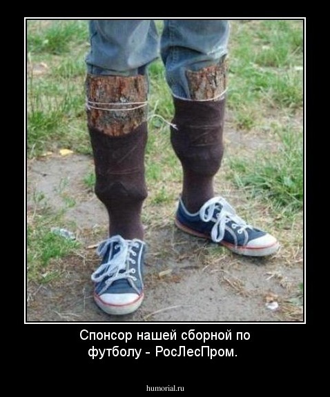 Спонсор нашей сборной по футболу - РосЛесПром.