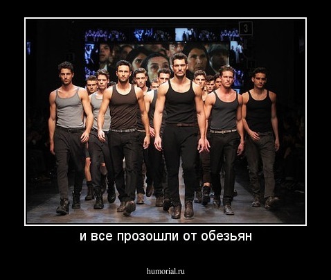 и все прозошли от обезьян