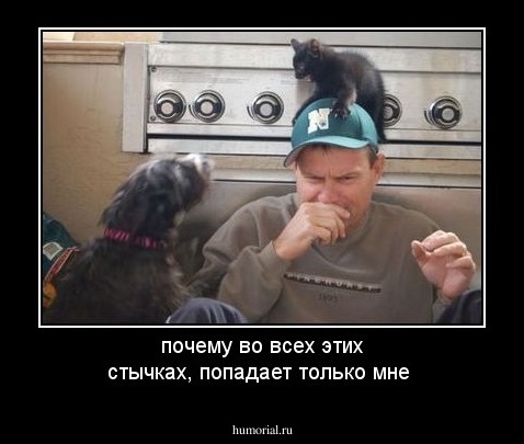 почему во всех этих стычках, попадает только мне