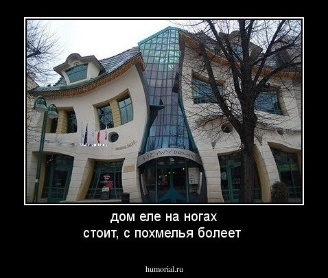 дом еле на ногах стоит, с похмелья болеет