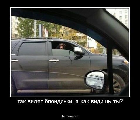 так видят блондинки, а как видишь ты?