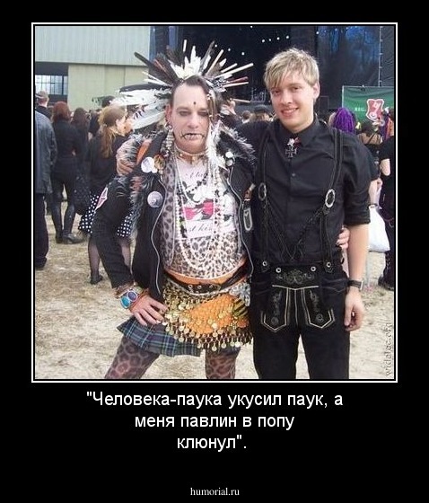 "Человека-паука укусил паук, а меня павлин в попу клюнул".