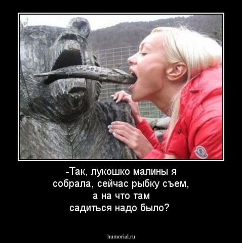 -Так, лукошко малины я собрала, сейчас рыбку съем, а на что там садиться надо было?